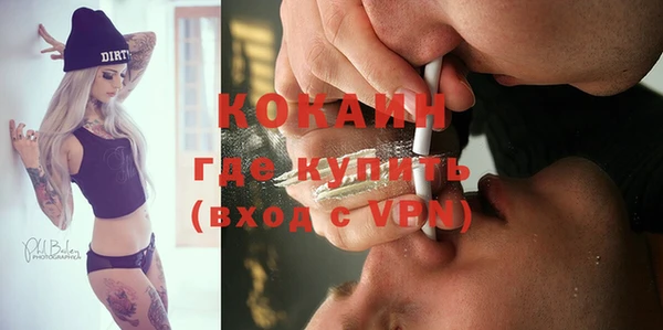 спиды Гусев