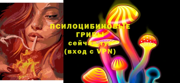 соль курить ск Гусь-Хрустальный