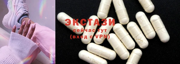 спиды Гусев