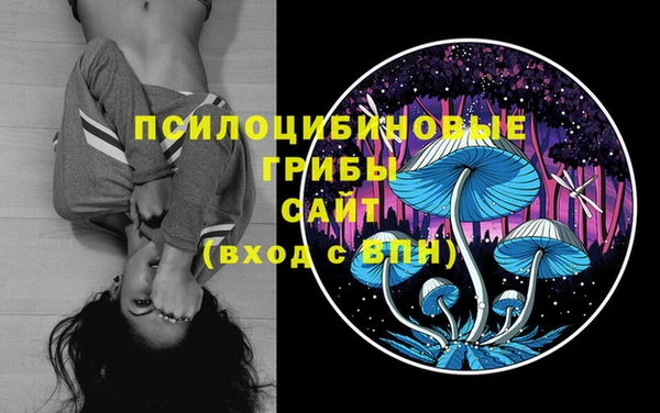 соль курить ск Гусь-Хрустальный