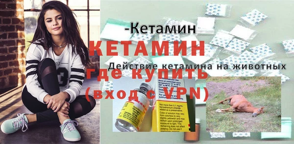 спиды Гусев