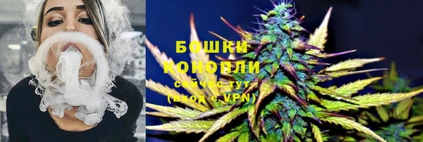 спиды Гусев