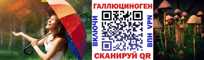 Псилоцибиновые грибы Psilocybe  Купить  Назарово 